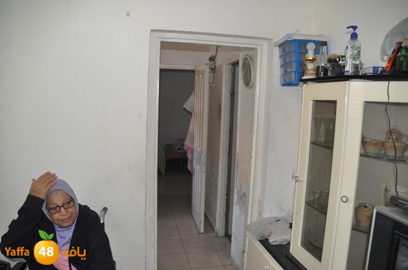 lud family boor (5).JPG